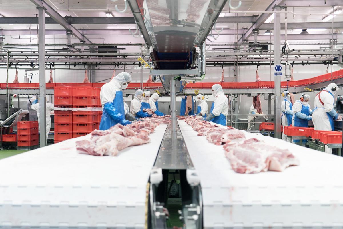 Una de las salas del matadero de Ejea de los Caballeros, del grupo Vall Companys.