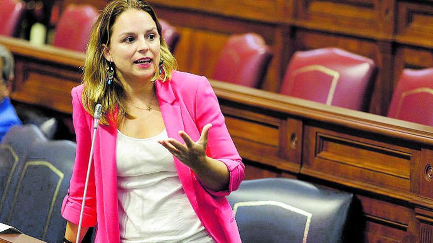 La consejera de Derechos Sociales, Noemí Santana, ayer durante la sesión del Parlamento.