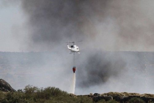 Un incendio arrasa parte de los Arribes en Villalcampo