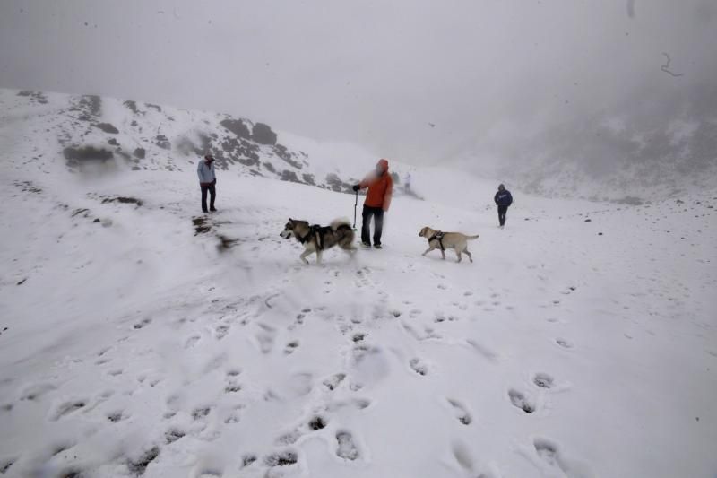 Visita al Teide nieve  | 06/12/2019 | Fotógrafo: Delia Padrón