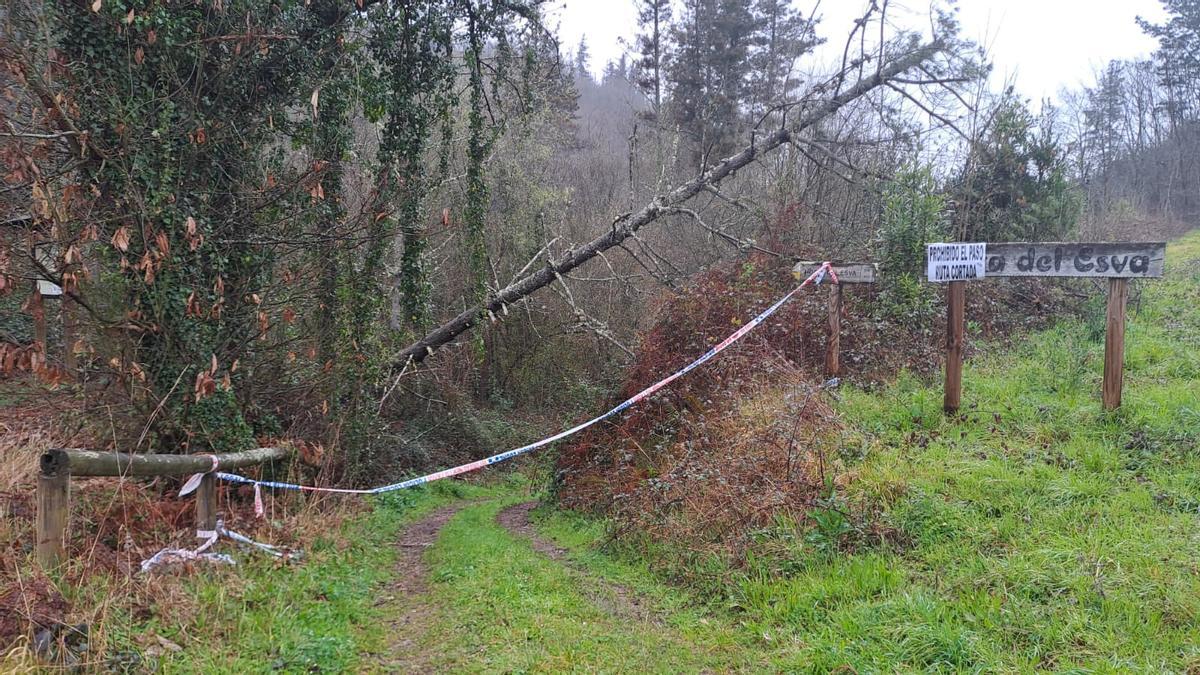 Acceso cortado a la ruta de las Hoces del Esva.