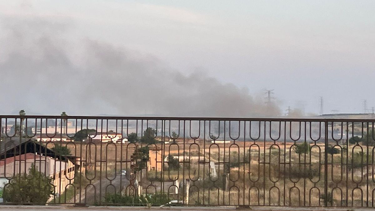 El incendio de pastos en la capital extremeña, ayer por la noche.