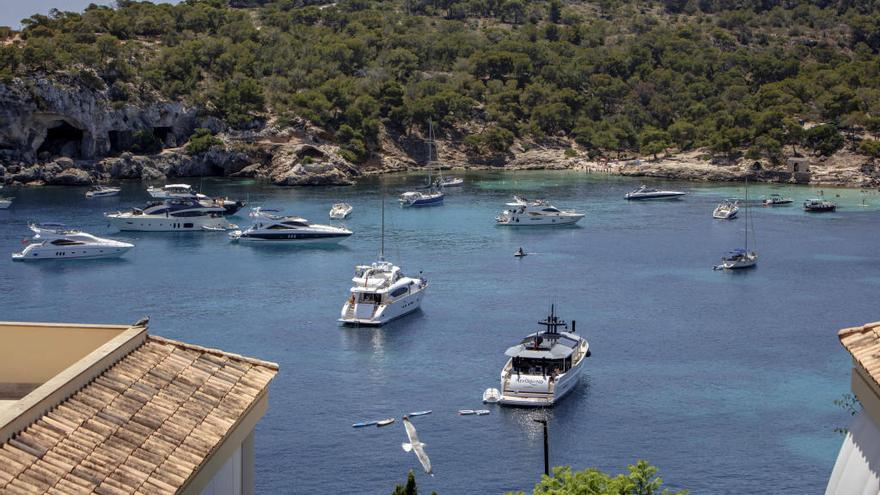 Medio Ambiente localiza en tres meses más de 1.000 embarcaciones fondeando sobre posidonia en Mallorca
