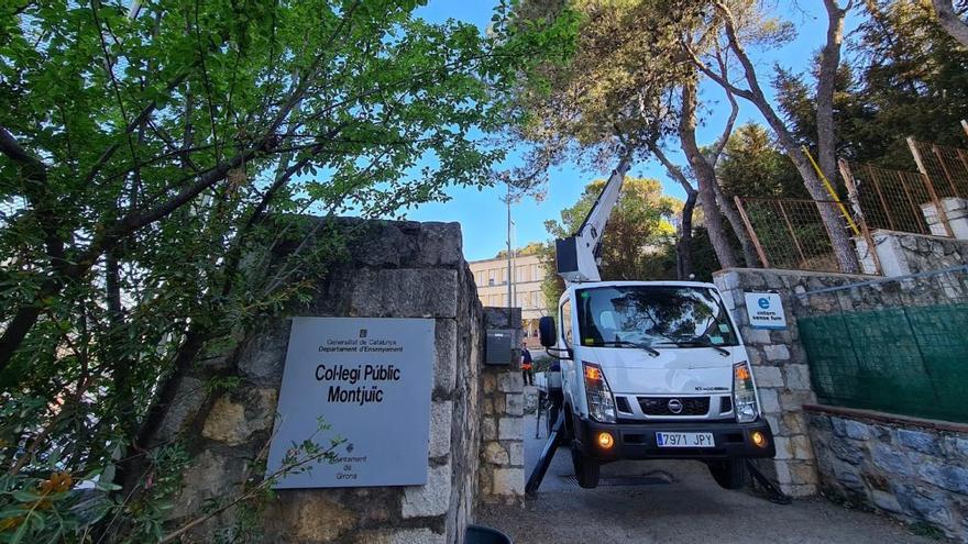 Comença la tala dels arbres perillosos a l&#039;entorn de l&#039;escola de Montjuïc