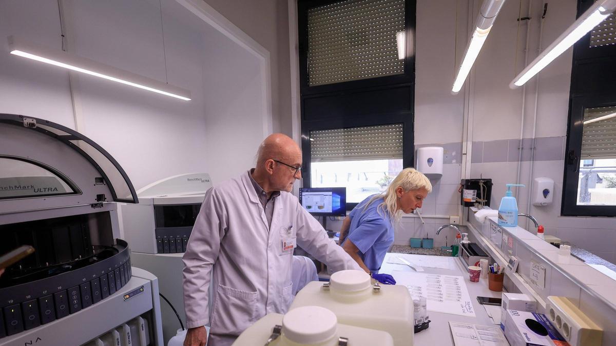 La 'UCO' del cáncer: así trabaja el servicio de Anatomía Patológica de La Fe