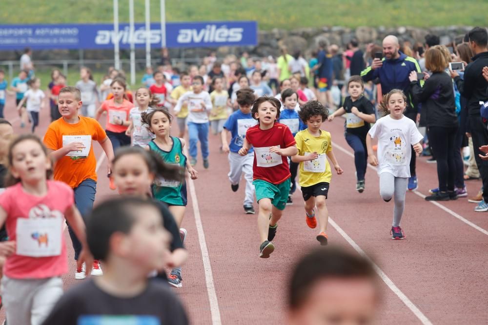 IV Carrera Solidaria por el Sahara en Avilés