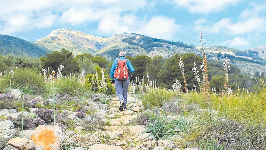 Planes para el primer domingo de agosto en la Región: Sierra Espuña y parapente