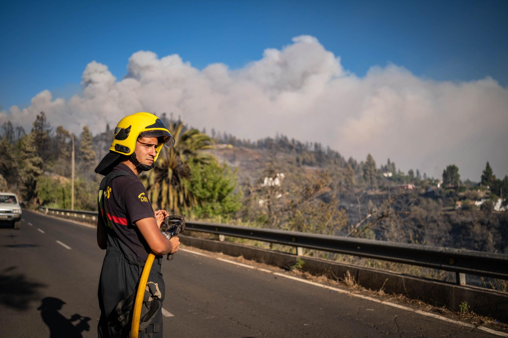 Los recursos de emergencia trabajan en el incendio forestal de La Palma