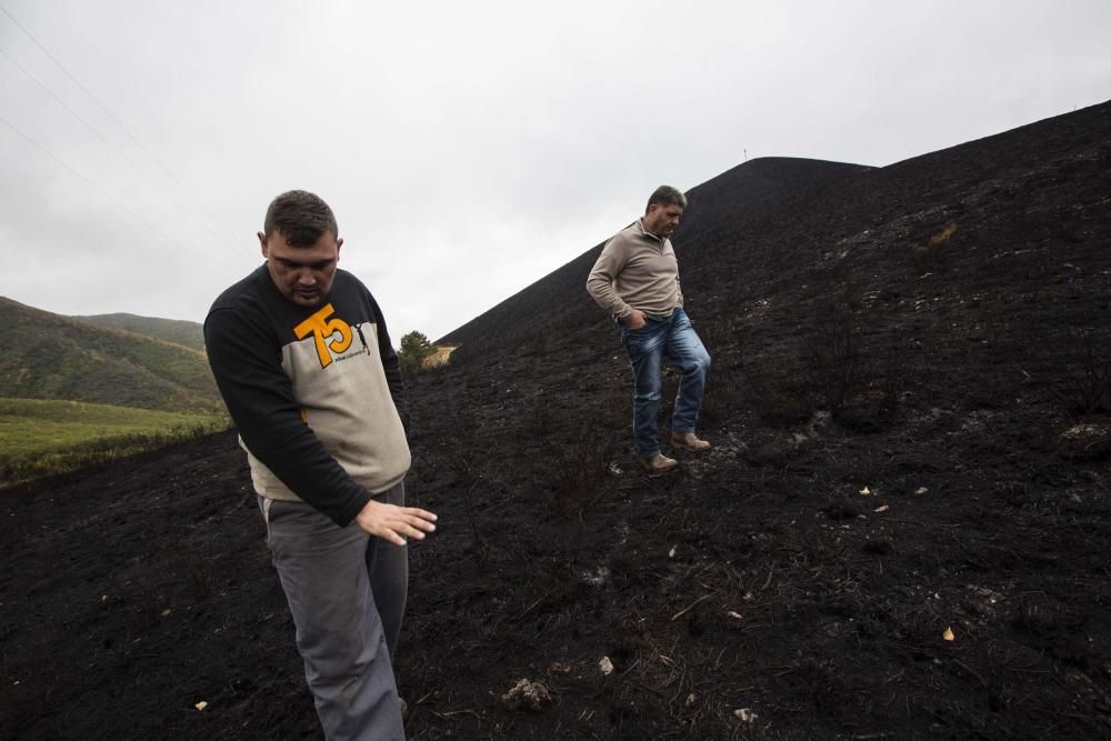 Desolación en el suroccidente asturiano tras los incendios