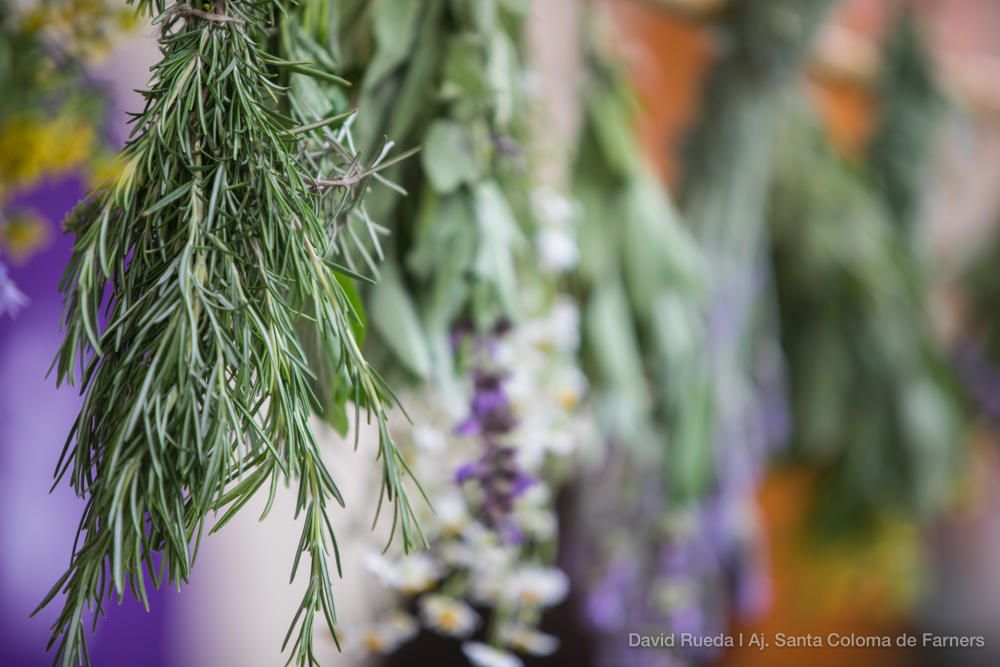 Mercat de les Herbes de la Ratafia a Santa Coloma de Farners 2018