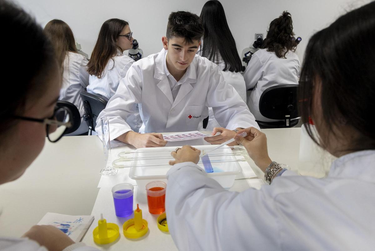Estudiantes del centro de FP de Cruz Roja Alicante, en unas prácticas
