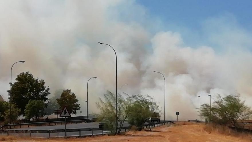 Los bomberos apagan un incendio de pastos cerca de Miralbaida