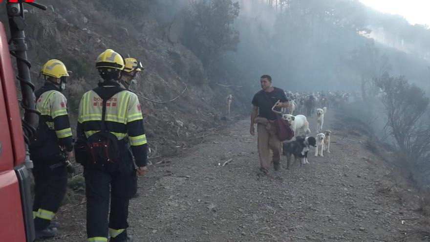 La matinada més llarga a Colera: &quot;Veure les flames de nit, amb el rugit de la tramuntana, imposa&quot;