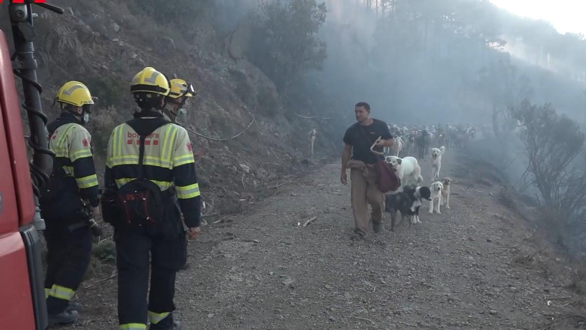 Els Bombers a la zona de l'incendi amb un pastor de cabres.