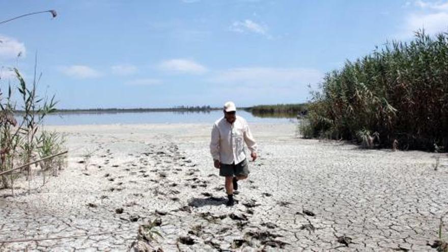 Imagen del Parque Natural de El Hondo que comparten municipios de la Vega Baja y el Baix Vinalopó y que arrastra un grave déficit hídrico, sobre todo en época estival.