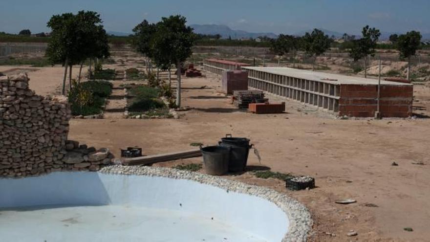 El Ayuntamiento desbloquea el cementerio de animales de Torrellano -  Información