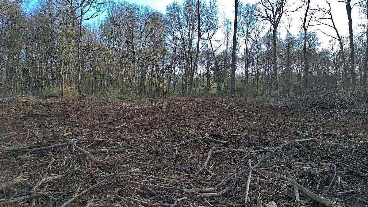 Panorámica de una zona del Souto de Cardiego.  | // SALVEMOS CATASÓS/ECOLOXISTAS EN ACCIÓN