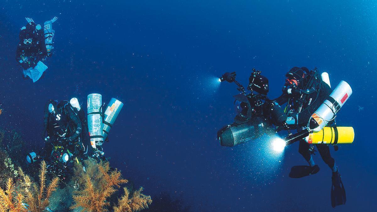 Investigadores canarios estudian la biodiversidad de los fondos marinos de las Islas.