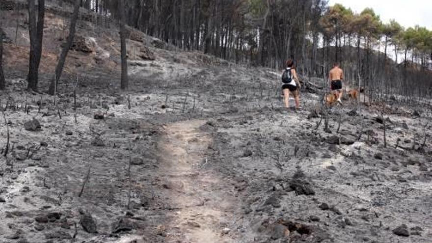 Estado en el que quedó la sierra de Mariola tras el incendio que sufrió en el verano 2012