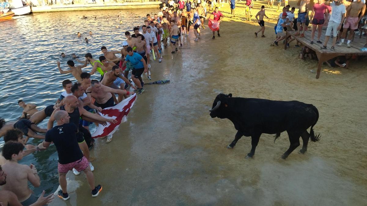 Imagen de los festejos de &quot;bous a la mar&quot; en Dénia