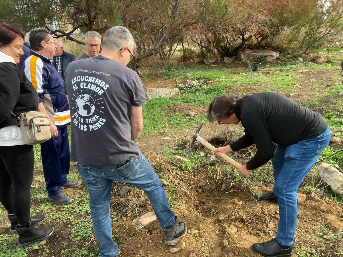 Voluntarios de la plataforma Bosque Urbano Málaga plantan 60 árbolesen los antiguos terrenos de Repsol