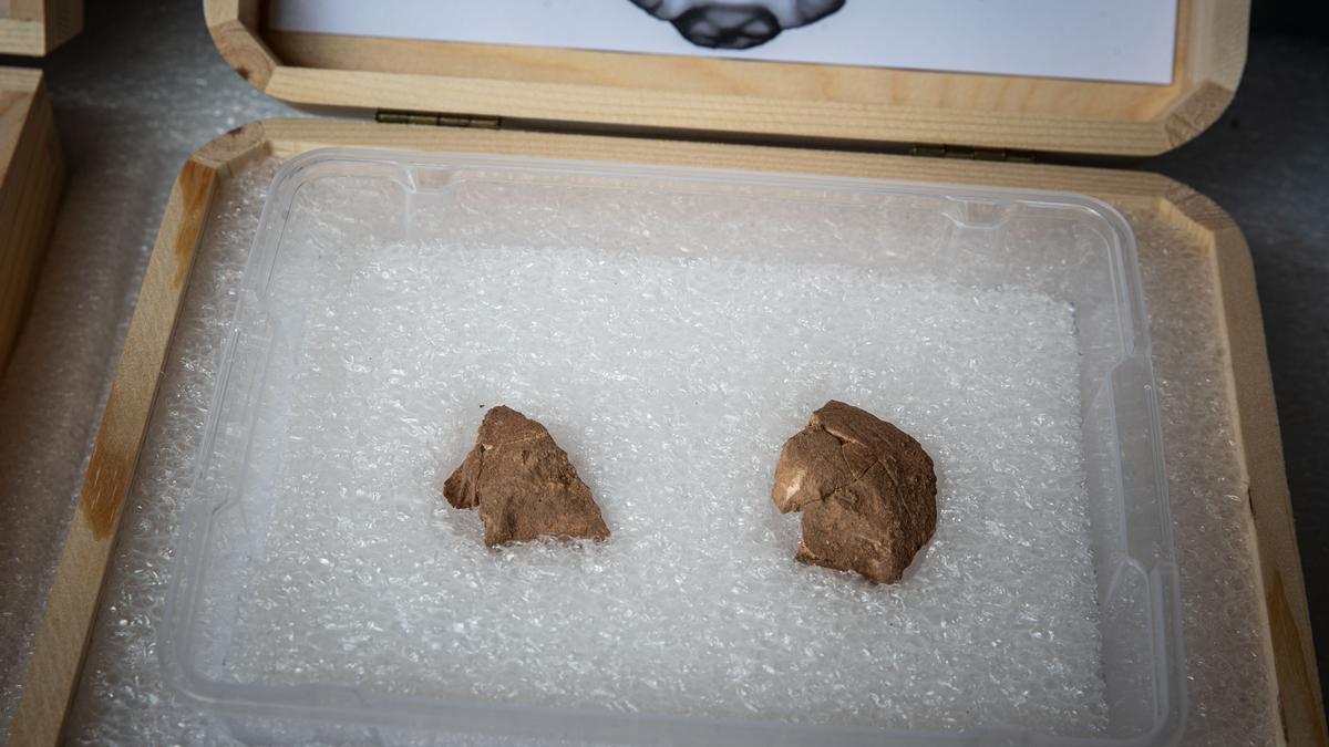 Hallazgo en Moià, Los neandertales que vivieron en Catalunya practicaban el canibalismo