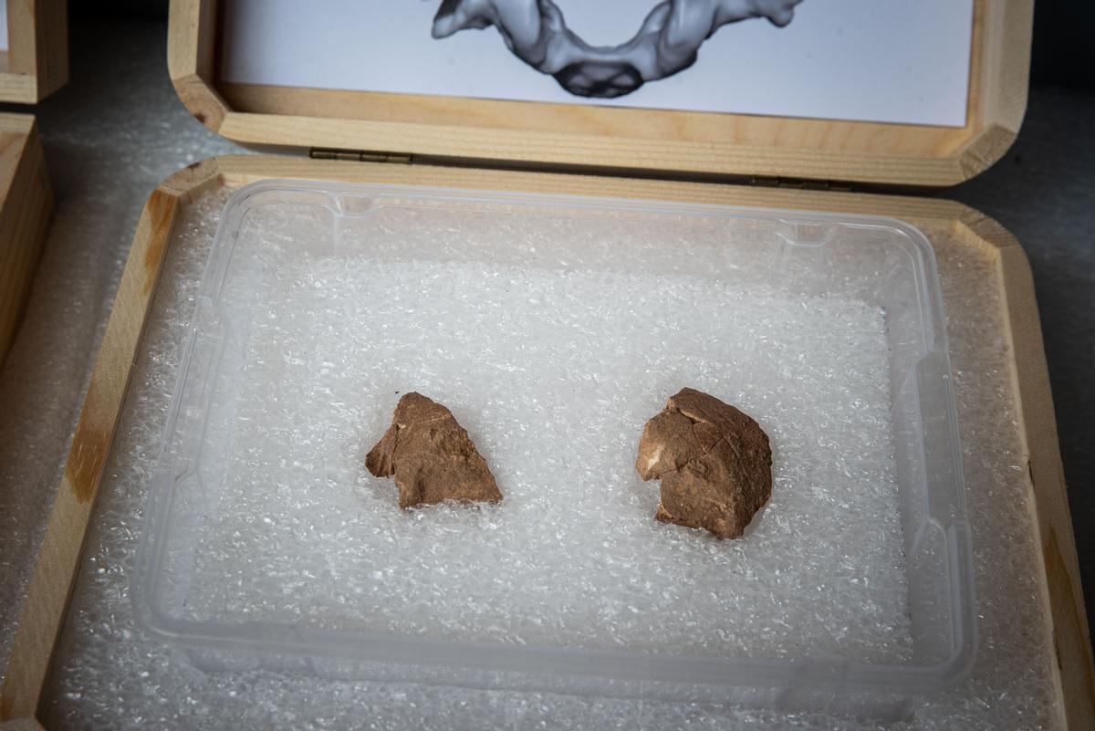 Hallazgo en Moià, Los neandertales que vivieron en Catalunya practicaban el canibalismo