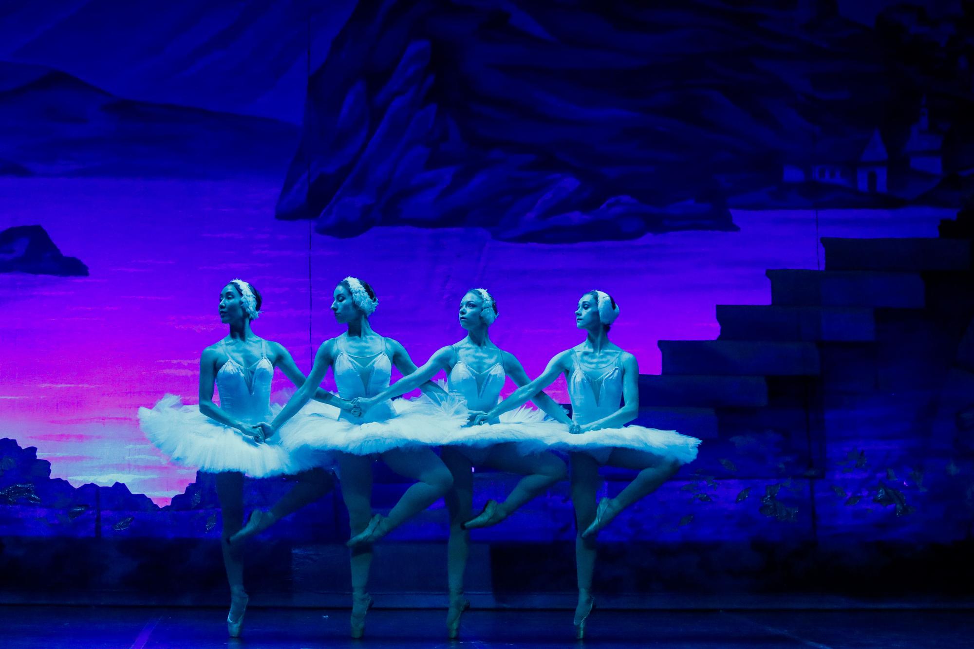 El lago de los cisnes inunda el auditorio de Vilagarcía