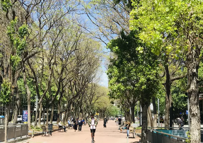 La Diputación de Barcelona ofrece apoyo a los entes locales para implantar la Agenda 2030