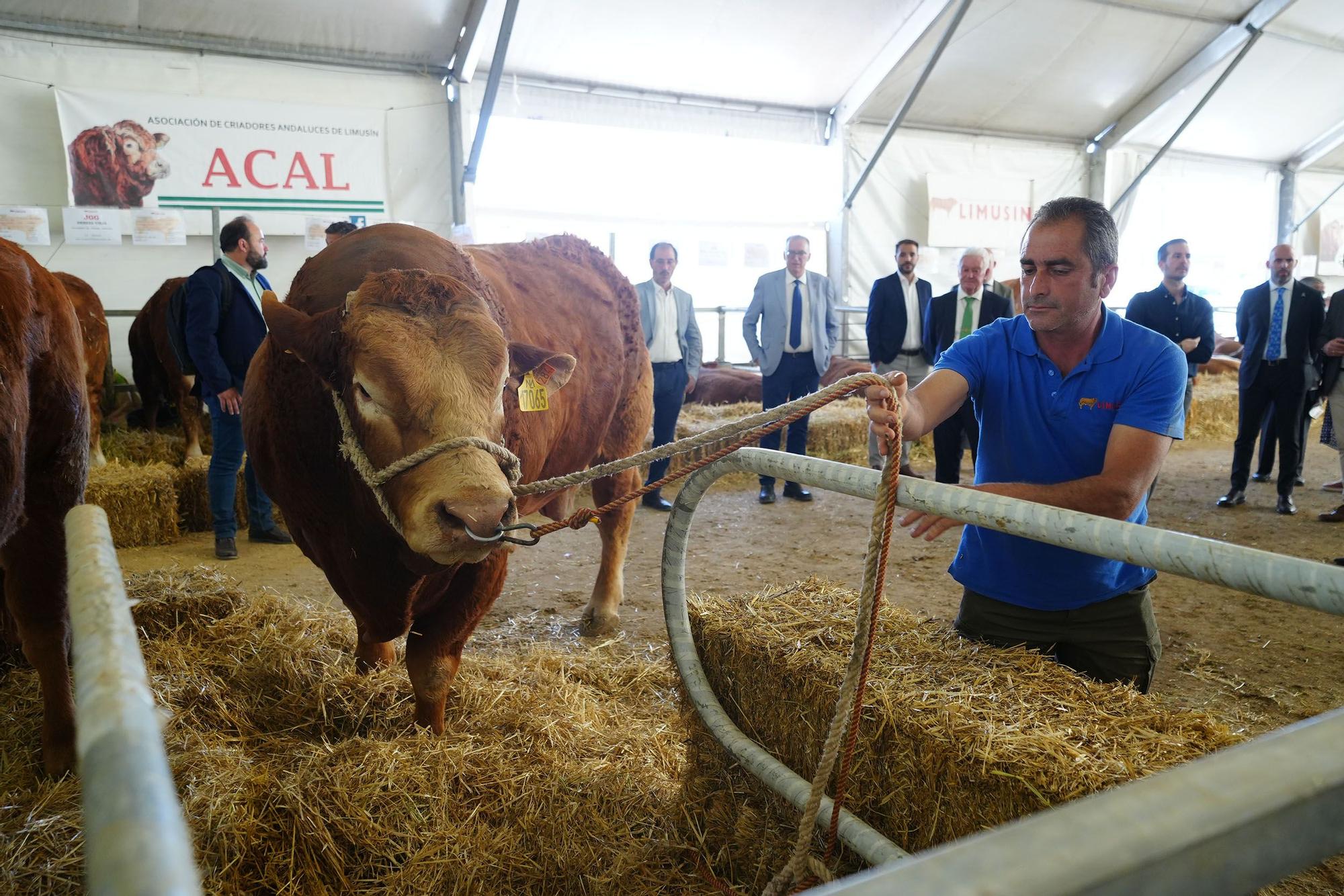 Inaugurada la Feria Agroganadera y Agroalimentaria de Los Pedroches