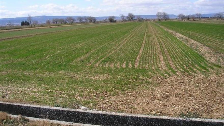 El futuro del comunal pasa por poner en valor el patrimonio agrario