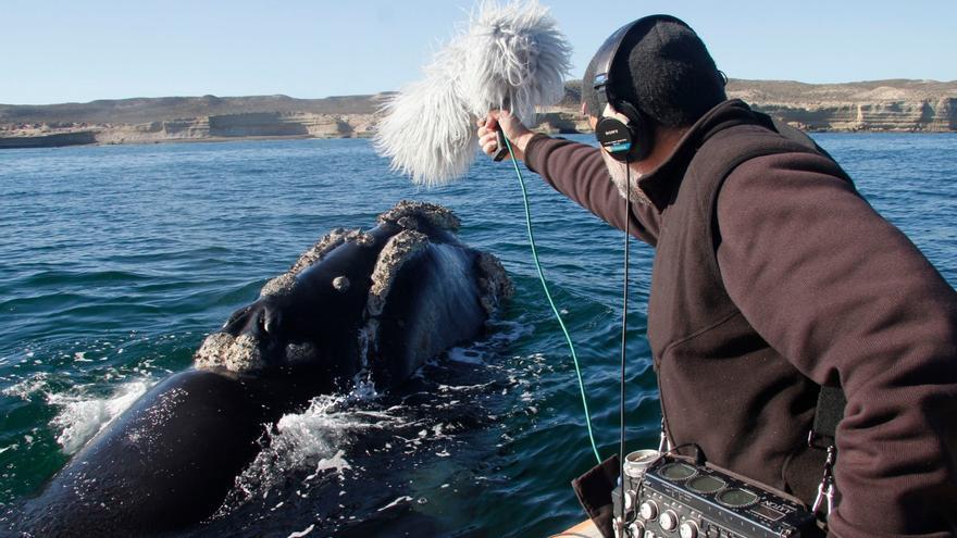 Festival de Cine Ambiental de Fuerteventura