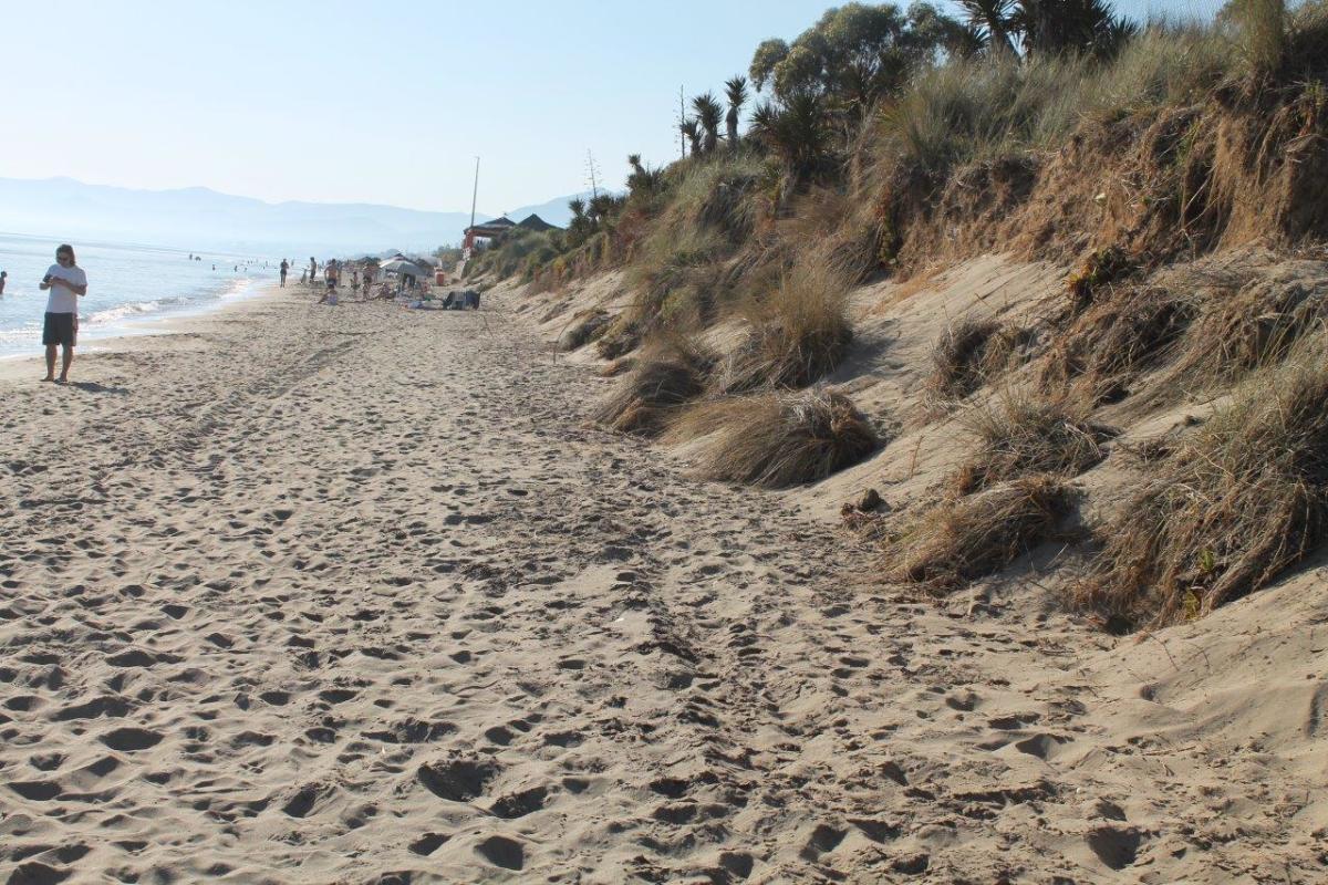 Uno de los cordones dunares ubicados junto al litoral en el término municipal de Marbella.