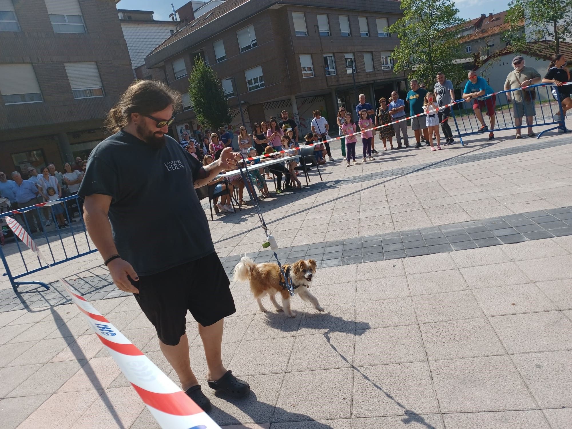 Desfile de perros en Lugones: así fue el concurso popular de canes - La  Nueva España