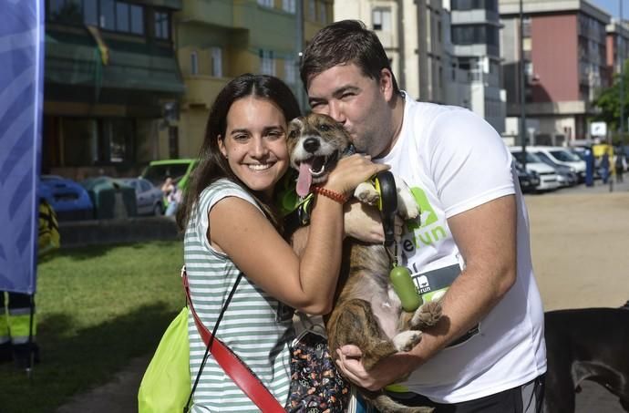 16/12/2018 LAS PALMAS DE GRAN CANARIA. Carrera ...