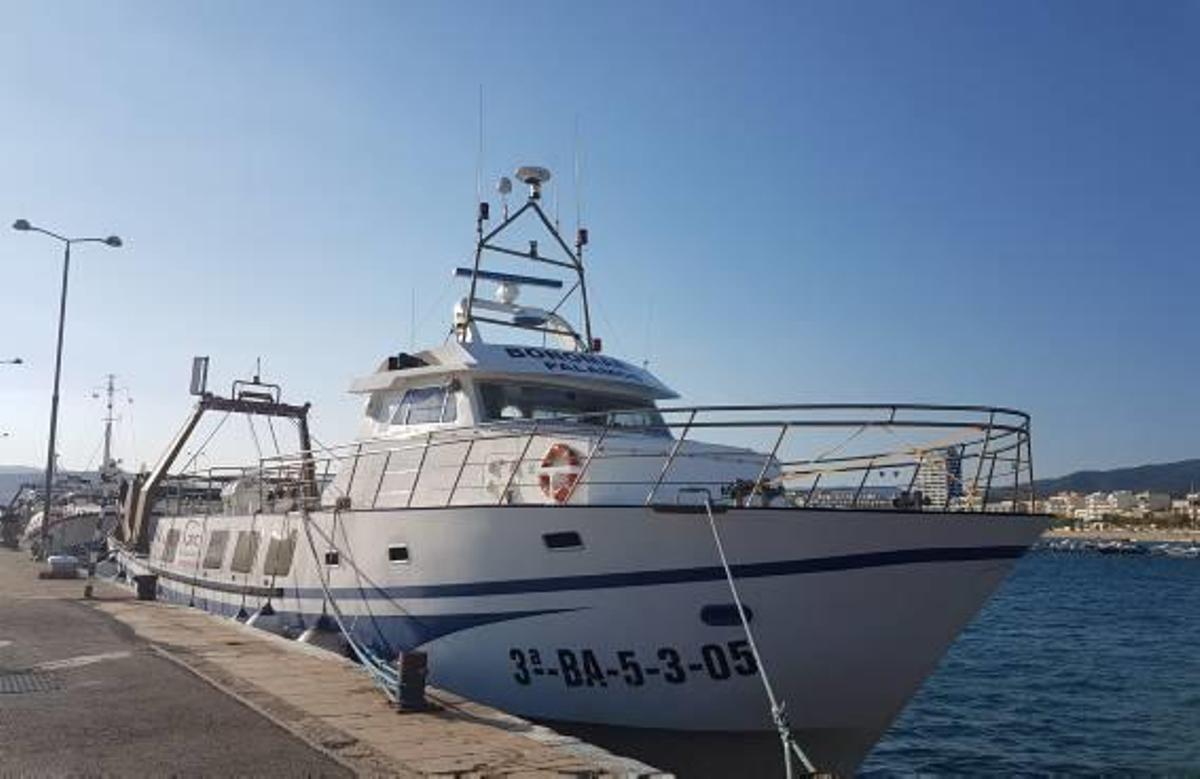 Imatge d'embarcacions de pesca palamosines.