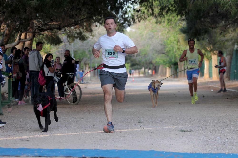 I Cross Canina de Santa Ana