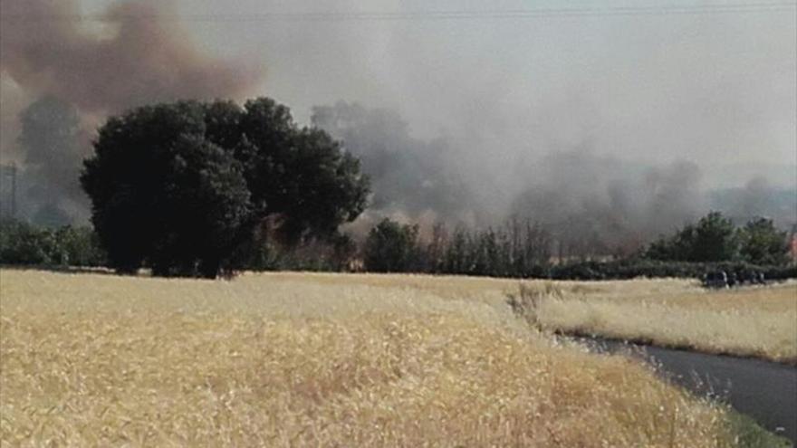 Un incendio en la carretera de Sevilla activa el plan Infoex