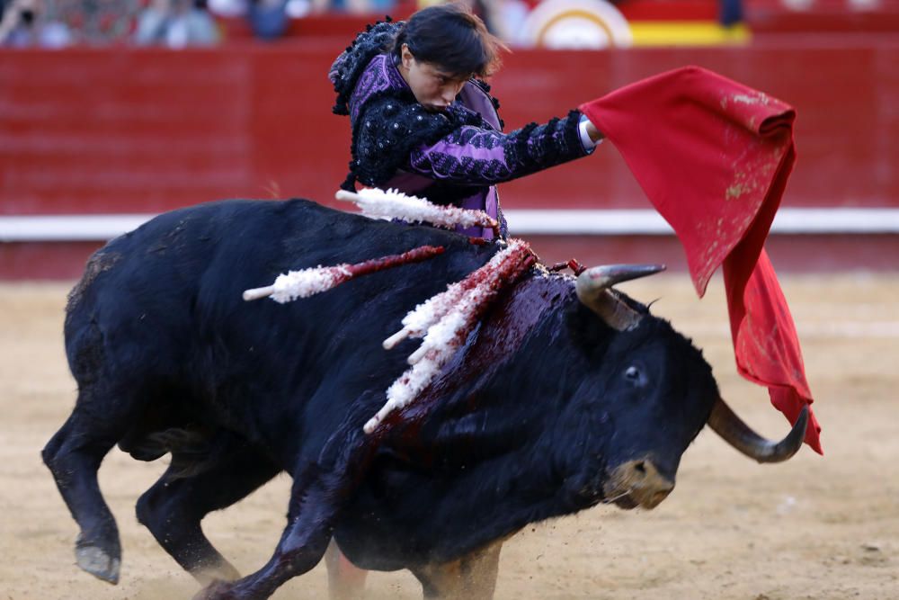 Corrida del 15 de marzo.