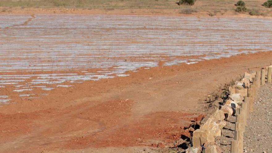 Algunos agricultores ya han comenzado a plantar las barreras naturales.