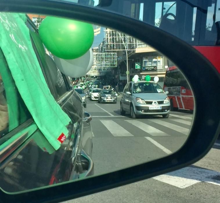 Una marcha teñida de verde y blanco para defender "el bien común"