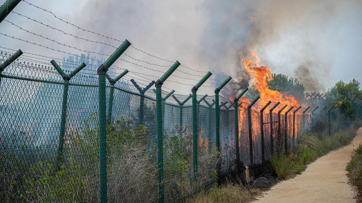 Incendio junto a los terrenos de La Ricarda y el aeropuerto