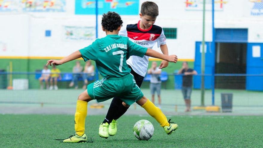 El Guiniguada Apolinario, todo un brillante campeón de campeones