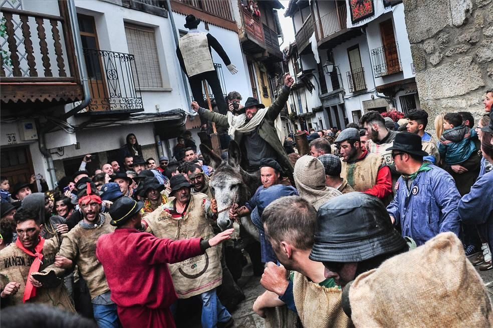 El Pero Palo de 2019 en imágenes