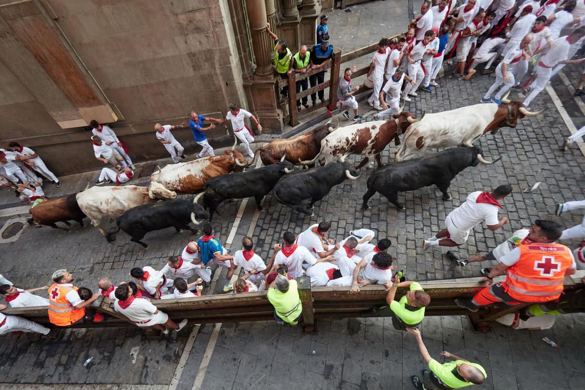 El tercer encierro de los Sanfermines 2026 ha sido rápido y emocionante con bonitas carreras de los corredores. El tercer encierro de los Sanfermines 2026 ha sido rápido y emocionante con bonitas carreras de los corredores.