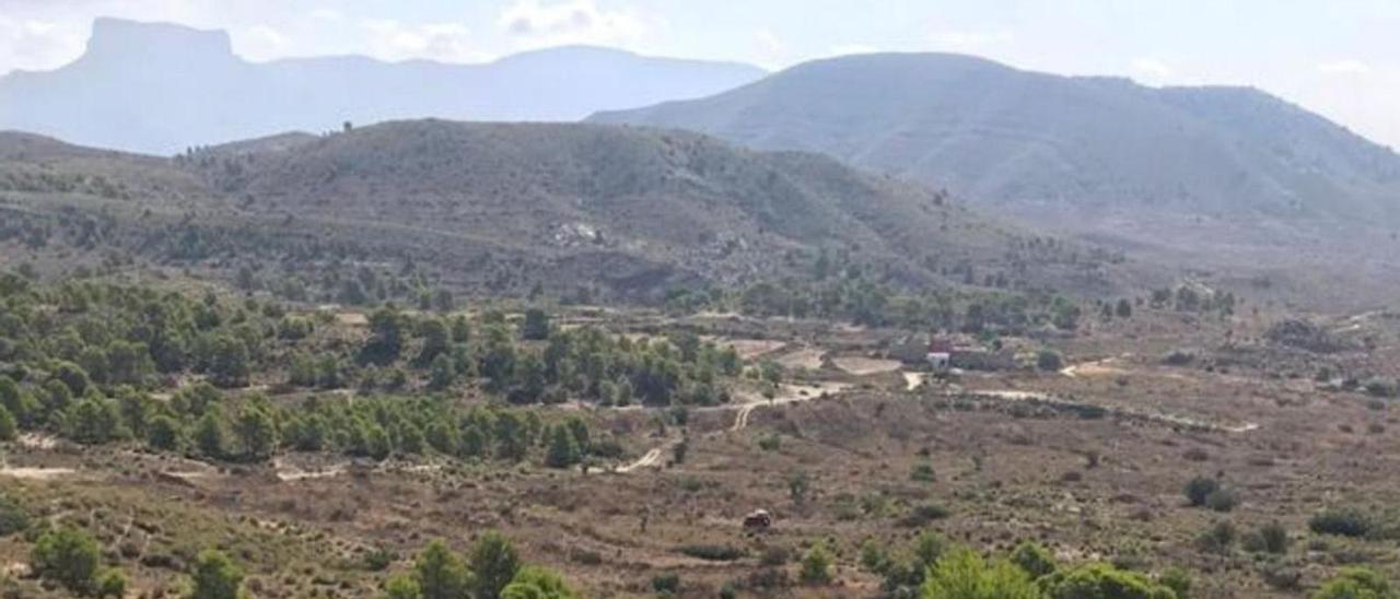 Las Cañadas de Elda con el monte Bolón al fondo, en una imagen tomada desde Camara. | J.C.P.G.