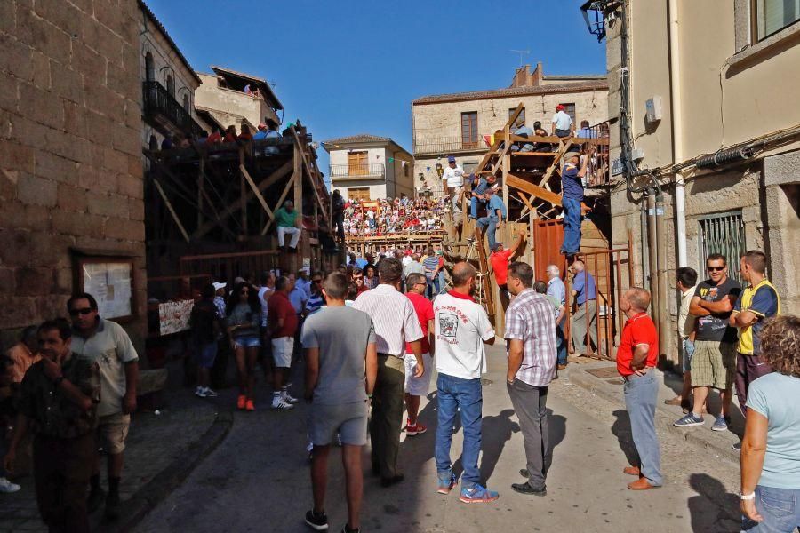 Fiestas en Zamora: Último encierro en Fermoselle