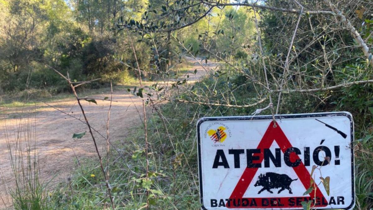 Pla mitjà d&#039;un cartell d&#039;una batuda de senglars aquest dissabte 23 de gener de 2020.