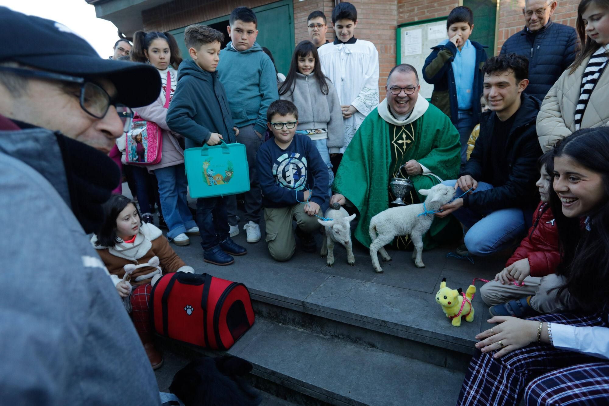 En imágenes: Así fue la bendición de animales por San Antonio en Avilés
