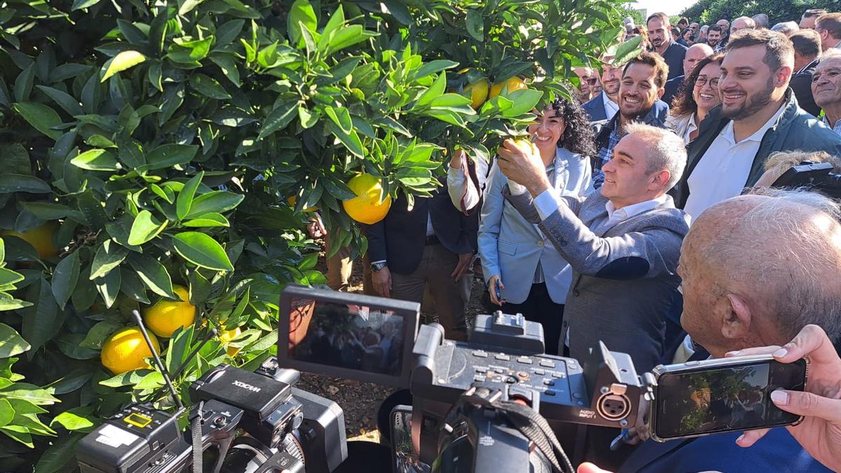 El conseller Miguel Barrachina, en el simbólico acto del corte de la primera naranja.